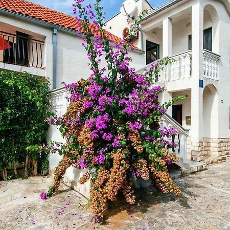 Apartment In Petrcane - Zadar Riviera 7842 Apartment
